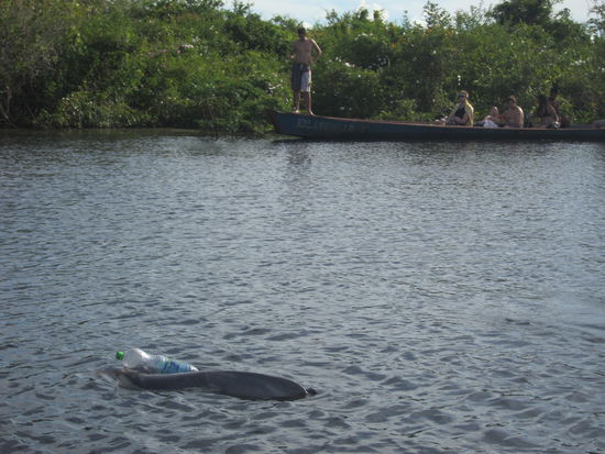 BolivienReisebericht "Amazonasbecken"