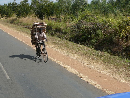 Malawi-Reisebericht: "Zurück in die Hauptstadt"