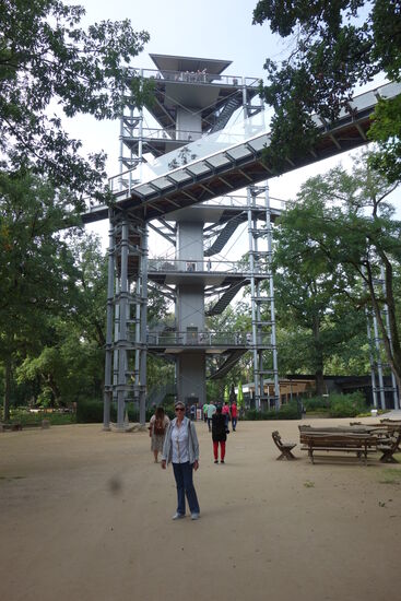 der kommerzielle Part in diesem 'Baum und Zeit' genannten Park besteht aus einem 800m langen Baumwipfelpfad