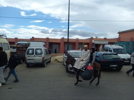 Auch wenn Marokko inzwischen sehr westlich geprägt und ein moderner Staat ist, spielt der Esel als Transportmittel noch immer eine wichtige Rolle.