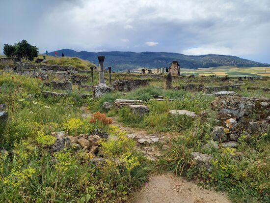 Faszinierend schön!