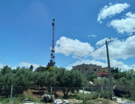 Der Funkmast dient gleich mehreren Storchenpaaren als Brutstätte.