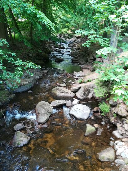 Nach nur wenigen Gehminuten treffen wir auf den Fluß Ilse und den Heinrich-Heine-Wanderweg.