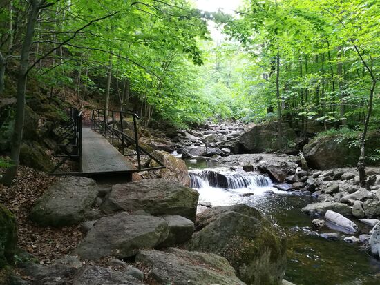 Eine erste kleine Brücke ist zu queren und dann geht es auf der anderen Seite weiter.