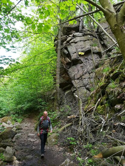 Der Weg ist steinig, verwurzelt und vom letzten Regen aufgeweicht. Gutes Schuhwerk und Trittsicherheit sind erforderlich.