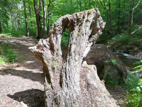 Die Perspektive gewechselt