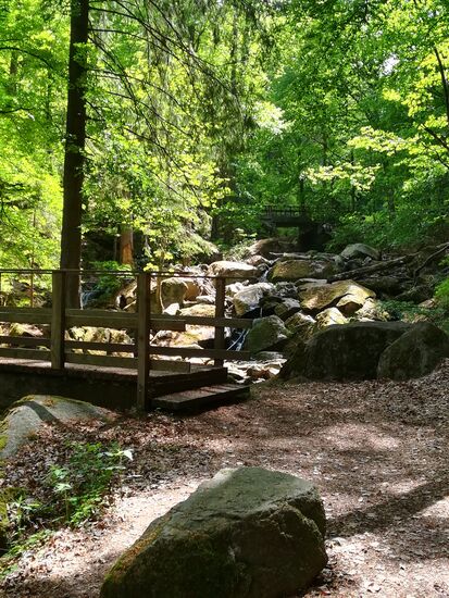 Nach ungefähr 3,5 Kilometern Entfernung vom Startpunkt am Parkplatz haben wir die Unteren Ilsefälle erreicht. Gemeinsam mit den sich nahtlos anschließenden Oberen Ilsefällen begleiten uns die kaskadenförmigen Wasserfälle auf einer Strecke von etwa 1km.