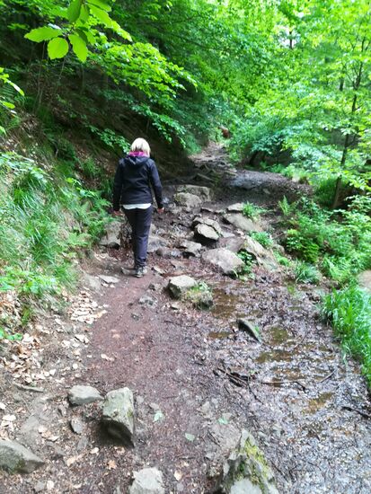 Hier wird es etwas unwegsam, aber das macht es auch spannender