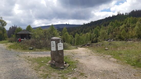 Inzwischen haben wir das Ufer der Ilse verlassen und blicken in der Ferne auf den Brocken. Wir gehen links weiter in Richtung Plessenburg.