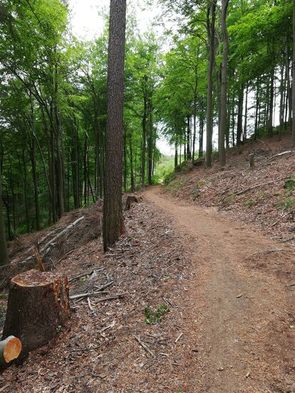 Nur noch wenige Gehminuten und dann haben wir Plessenburg erreicht.