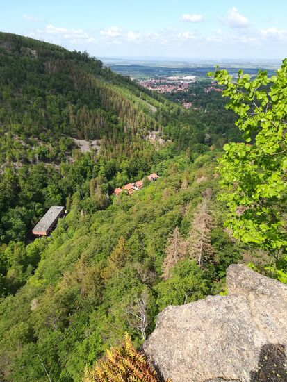 Super Sicht ins Tal und auf Ilsenburg