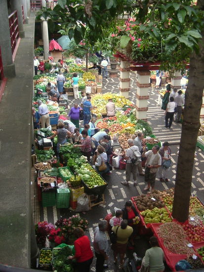 Portugal-Reisebericht: "Funchal"