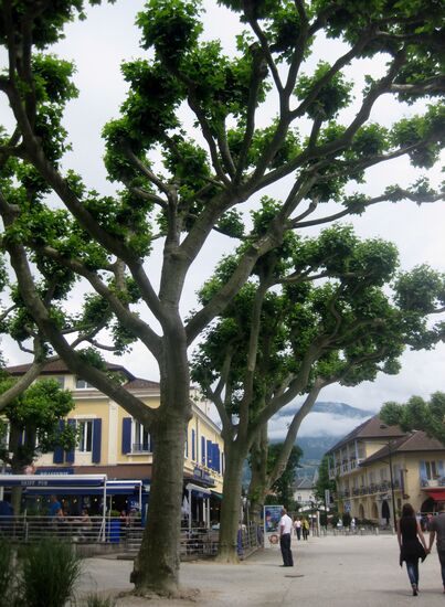 Promenade