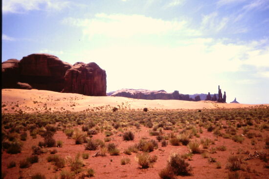 Typische Landschaft