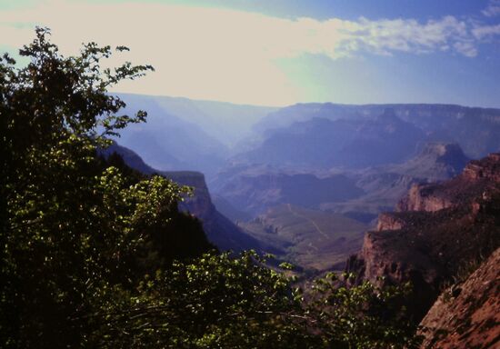 Bright Angel Trail