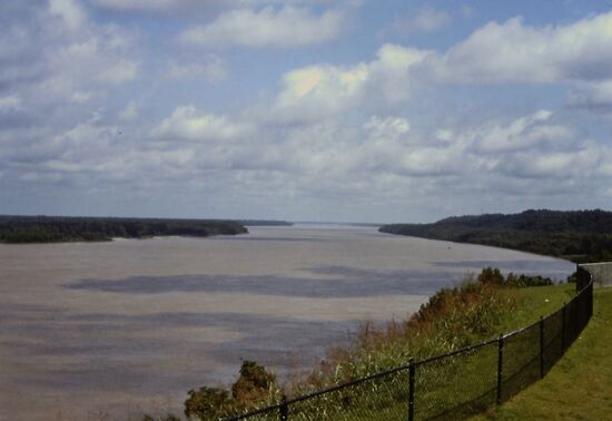 Der Mississsipi bei Natchez