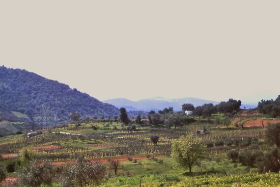 Lassithi-Hochebene