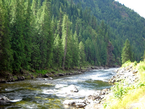 Auf dem HW 12 - Nez Perce Trail / Lewis & Clark Trail - nach dem Lolo-Pass, 1.596 m, Blick auf den Clearwater River. Nur wenige Fußgängerbrücken ermöglichen den Übergang über den Fluß, um in die dahinter liegende "Wilderness" zu gelangen.