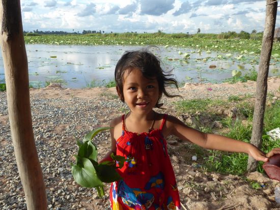Das kleine Mädchen vom Restaurant hat mir einen Strauss Wasserhyazinthen gebracht.
