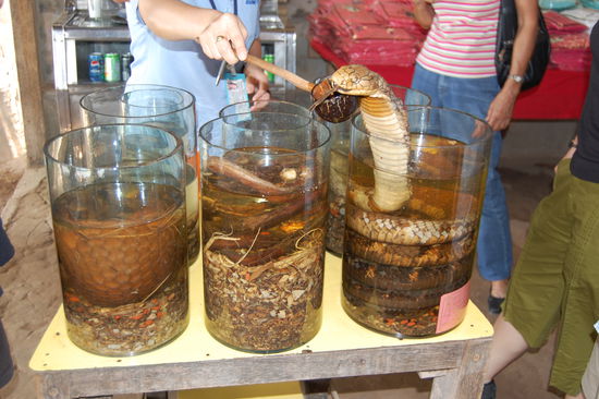 Hat jemand Lust auf Schlangenschnaps?