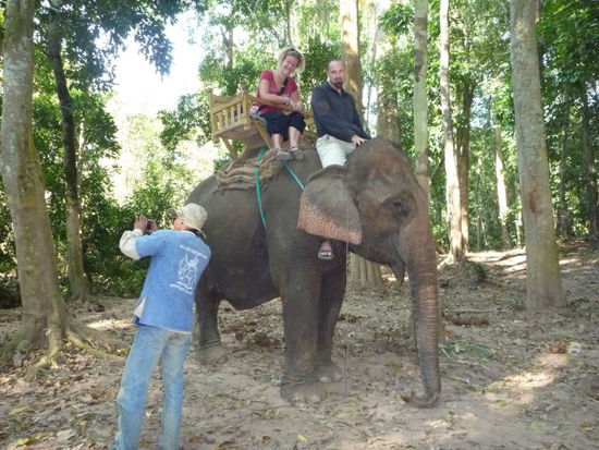 5 6 2 11 All Lao Elephant Camp