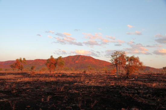 Abgebrannte Flächen gegenüber unserem Nachtlager, dem Doon Doon Roadhouse. Ab dem 1. November beginnt in den Kimberleys die wet season mit extrem feucht-heißen Temperaturen und tropischen Zyklonen, die für tagelang überflutete Straßen sorgen können. Daher war es nicht verwunderlich, dass wir die einzigen Gäste auf dem Campingplatz waren.