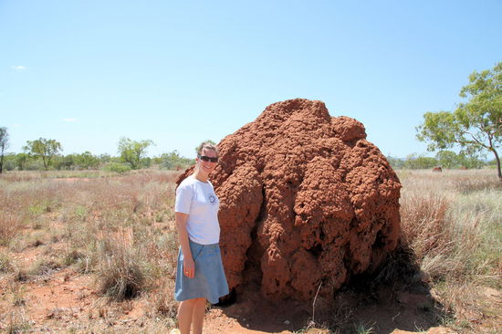 Bei so extremen Temperaturen, müssen auch die Termiten besonders große Hügel bauen, damit sie im Innern eine gleich bleibend angenehme Temperatur haben. Termiten werden auch fälschlicherweise 'weiße Ameisen' genannt. Dabei sind Termiten keine Ameisen - aber weiß sind sie und normalerweise tragen sie auch keine Sonnenbrille!  
(Lizzy) Ha, ha,... Ich glaub eher der Fotograf ist eine!