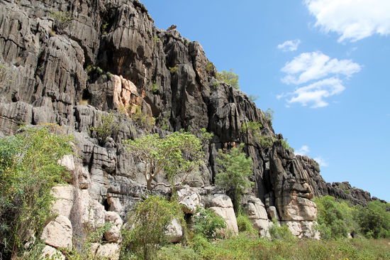 Im Geikie Gorge NP sind wir den Jarraambayah Walk (2,2km - 1,5h) gelaufen. Der erste Teil des Weges verläuft durch tiefen Sand, was bei der Hitze sehr anstrengend ist. Dann läuft man eine Weile an diesen schönen Felswänden entlang.