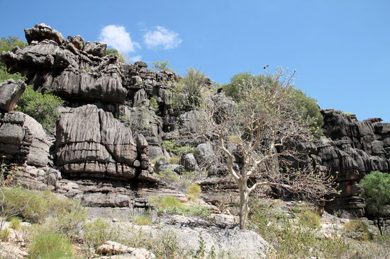 Besonders die Kombination aus dunklen Felsen und den sehr hellen Bäumen war schön.