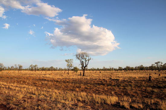 Typische Kimberley-Szenerie. Die vielen kleinen Hügelchen sind alles Termitenhügel.
