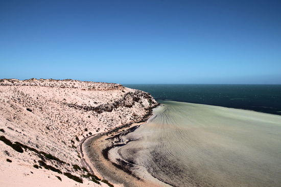 Von Denham aus fuhren wir weiter in Richtung Süden und hielten am Eagle Bluff, einem lookout von wo aus man einen tollen Ausblick hat. Was aussieht wie zerflossene Schlagsahne, sind unter der Wasseroberfläche liegende Sandschichten, die durch den Bewuchs mit Seegras immer weiter ins Meer hineinragen. Der dunkle Bereich hinter den Sandflächen sind die riesigen Seegrasweiden (über 4.000qkm - größte bekannte Seegrasfläche der Welt) hauptsächlich für Dugongs (Gabelschwanzseekühe), eine Besonderheit des Shark Bay Marine Parks. Obwohl es im Marine Park ca. 10.000 Dugongs geben soll, konnten wir keine sehen.