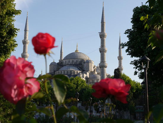 Blaue Moschee...