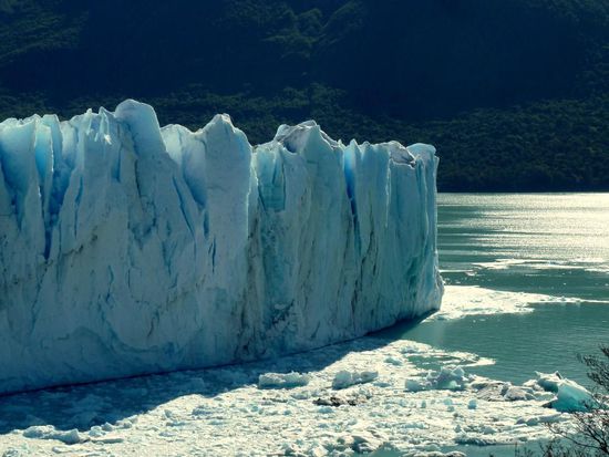 ...von 74 m hohen Eiswänden brechen riesige Eisbrocken unter lautem Getöse ab...