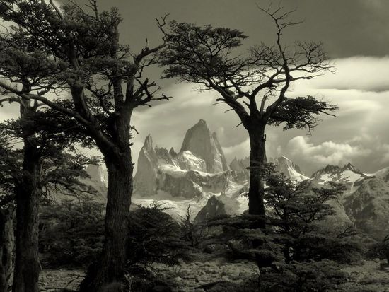 ...immer präsent: Fitz Roy