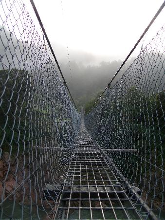 Neuseeland Reisebericht Buller Gorge Swing Bridge