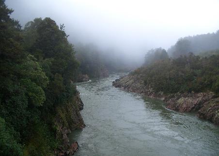 Neuseeland Reisebericht Buller Gorge Swing Bridge