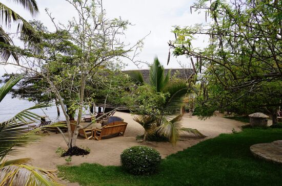 Mit eigenen Liegen und Palmen…