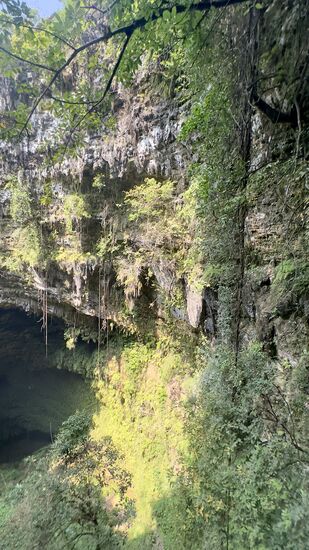 Herrlich der grüne Urwald hier…die Luftfeuchtigkeit hier ist auch enorm hoch!