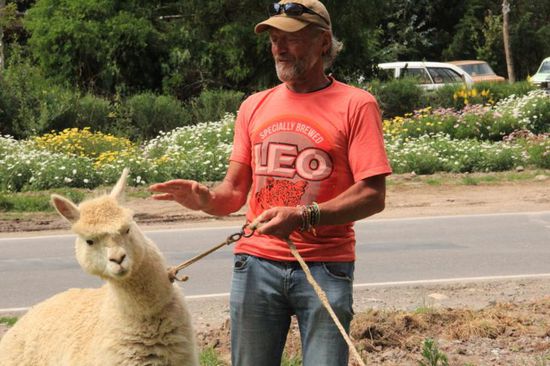 gib Obacht, ich hab mal gehört, die würden spucken, wenn sie jemand nicht leiden können.....hihi...
