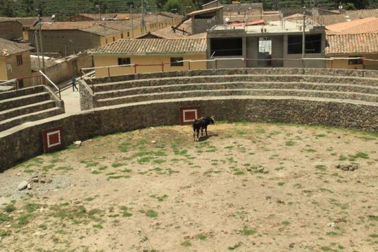 Stierkampfarena...., keine Angst, hier dient sie als Weidefläche...