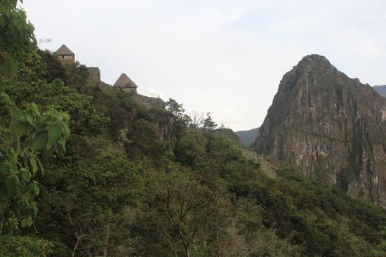 ...ein Lichtblick...